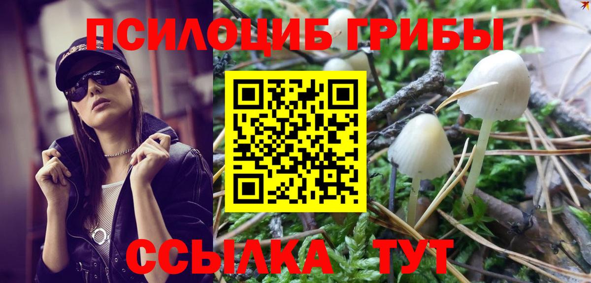 Псилоцибиновые грибы Psilocybine cubensis  Вход с VPN  купить   Ростов-на-Дону 
